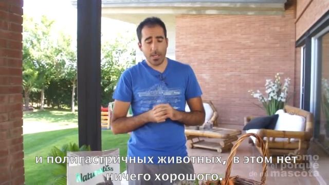 Натуральный корм для кроликов-питание смотреть онлайн