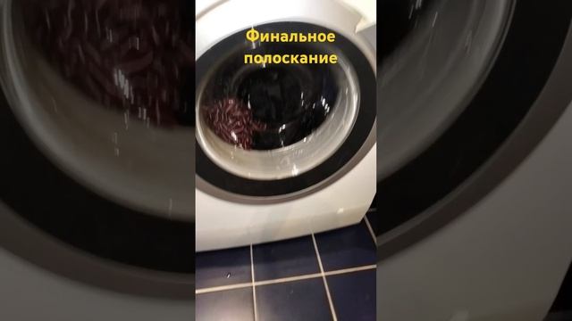 4 апреля 2025 г. смотреть онлайн