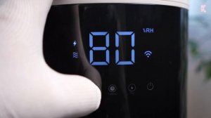 НАКОНЕЦ-ТО НАПОЛЬНЫЙ! УВЛАЖНИТЕЛЬ ВОЗДУХА DEERMA DEM-F955W с ?