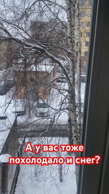 Снова вернулась зима в Ярославль #shorts #снег #погода смотреть онлайн