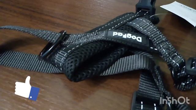 #шлейка #погода #магазин #киев Вот такая есть шлейка у А смотреть онлайн