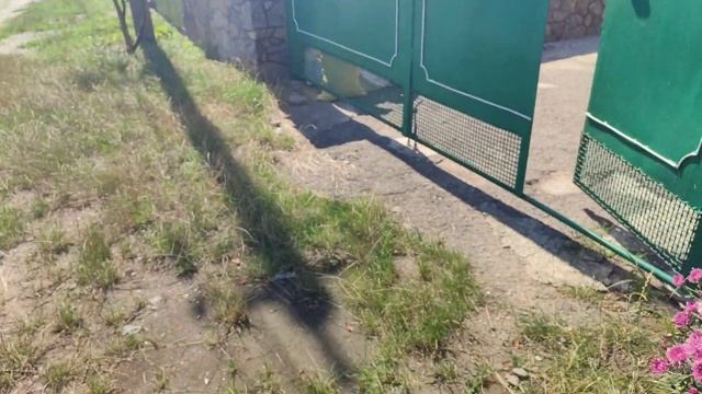 Очі бояться -руки роблять.Невдала покупка.Готую вечерю