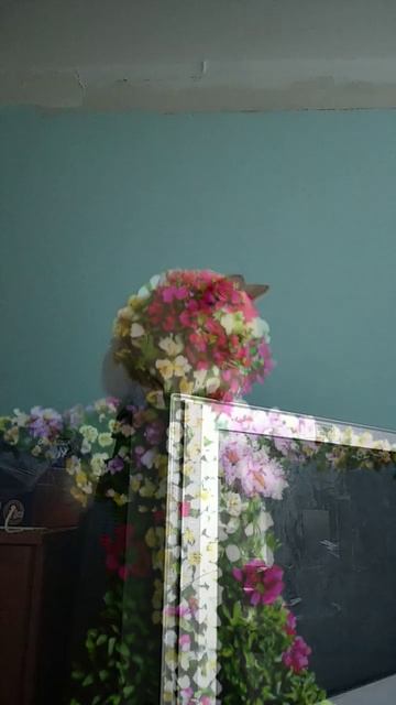 места котика статуя из листев смотреть онлайн