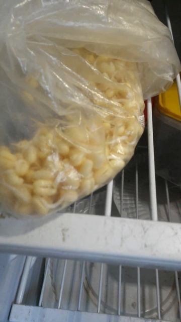 Пророщенный маш в целлофановом пакете в холодильнике смотреть онлайн