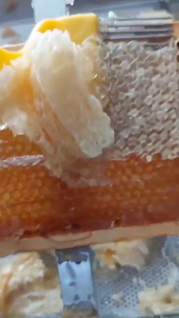 сотовый мед в рамках смотреть онлайн