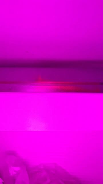 почти работает 😱(у меня в холодильнике нету света мож смотреть онлайн