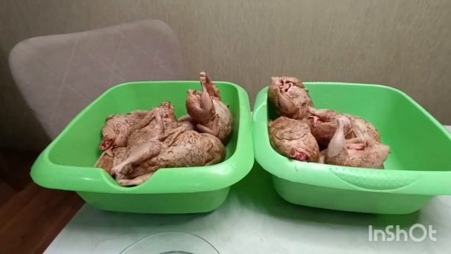 Вес перепелов в 45 дней. Тест. смотреть онлайн