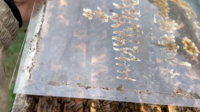 Семья воспитательница 11.05.2025 смотреть онлайн