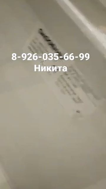 Ремонт холодильника GAGGENAU SK 211-140 Москва 8-926-035-66-99 Никит? смотреть онлайн