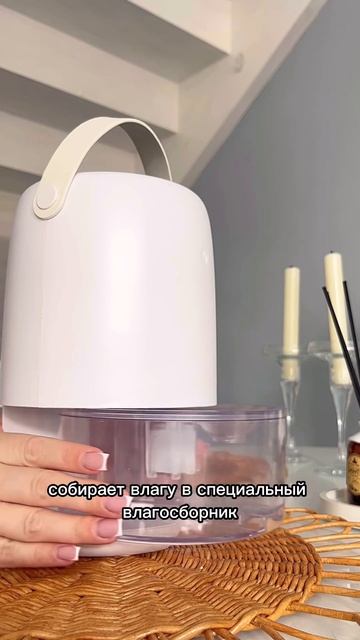 Артикул WB:196969324 У вас есть сырость?Плесень?Не паникуйт? смотреть онлайн