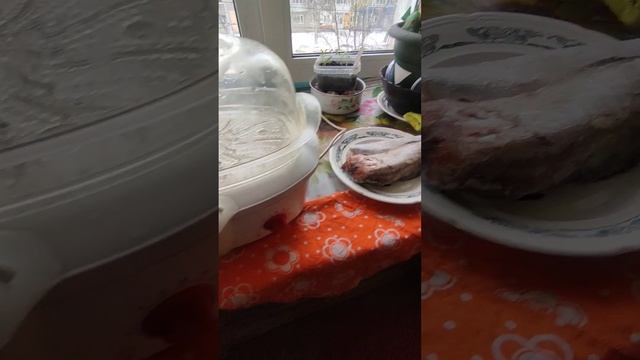 Уха, из Наваги и Минтая - в Пароварке смотреть онлайн