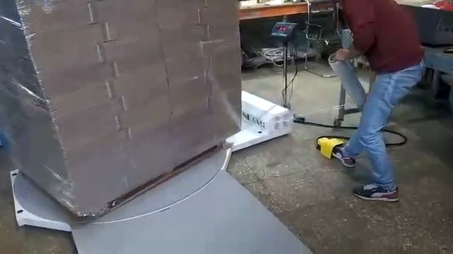 Паллетоупаковщик