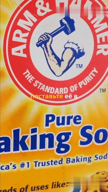 Как избавиться от запаха в холодильнике смотреть онлайн