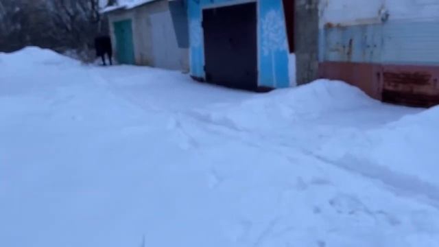 ЧИСТОТА И УЮТ В ДОМЕ, ЧИСТЫЙ ХОЛОДИЛЬНИК, ПОКУПКИ С ОЗО смотреть онлайн