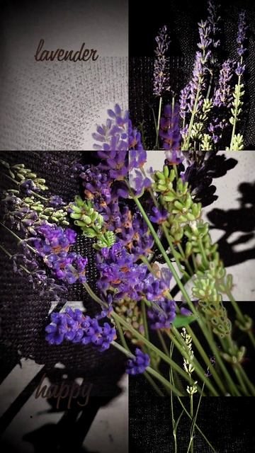 планета Земля і ії краса. смотреть онлайн