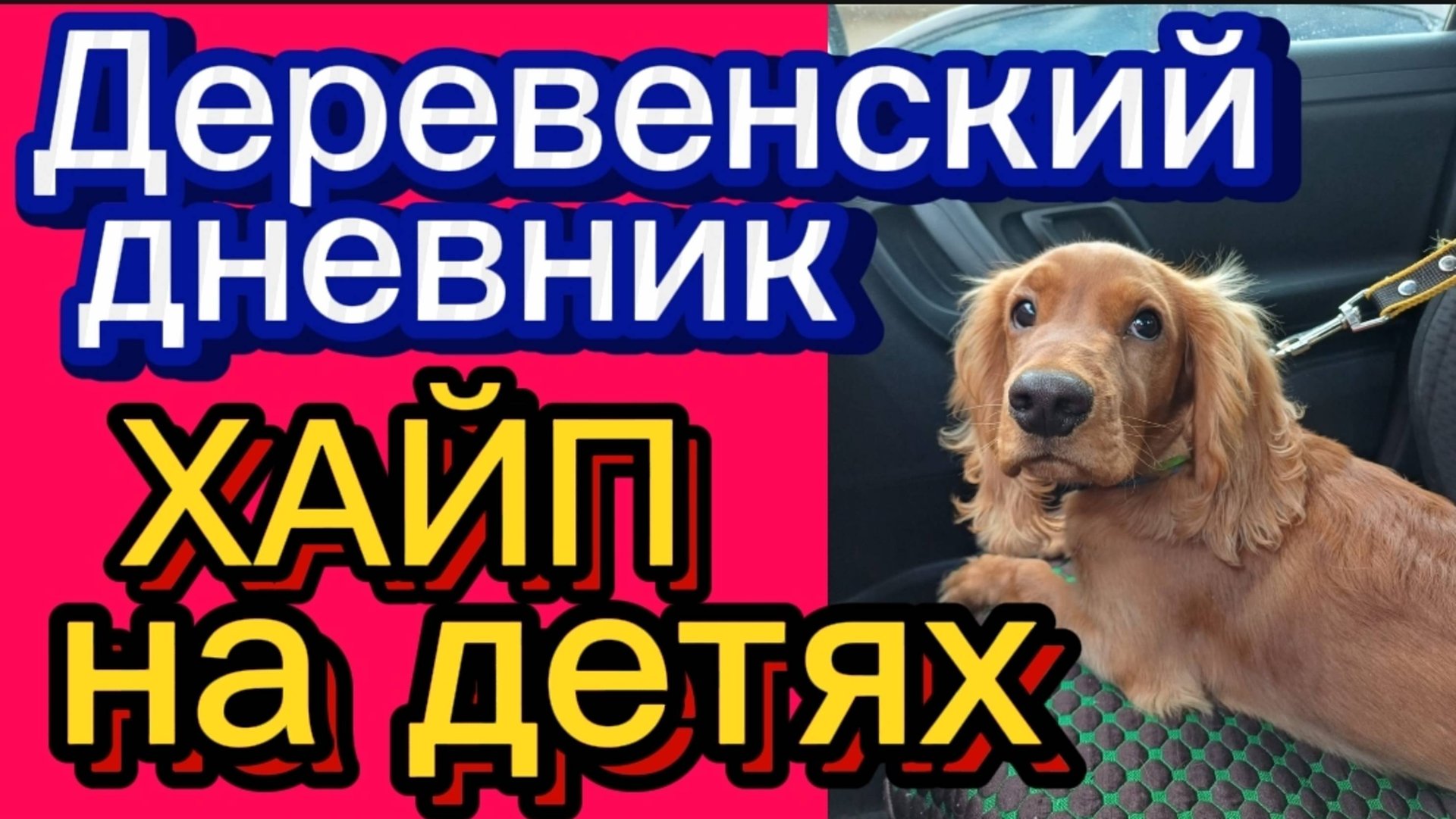 ДЕРЕВЕНСКИЙ ДНЕВНИК. " ХАЙП НА ДЕТЯХ " смотреть онлайн