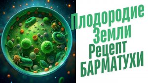 Как сделать Барматуху?