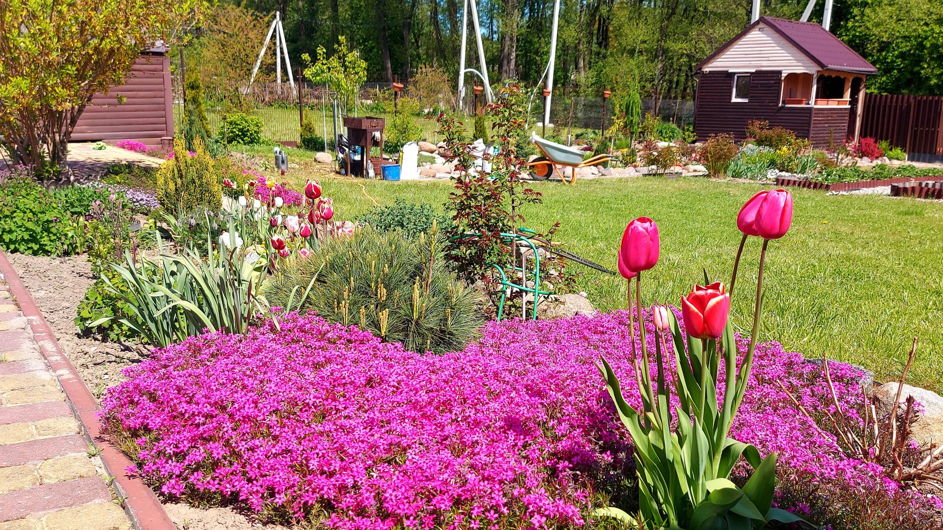 Шикарное цветение шиловидных флоксов🌸💜🦋.Доделала зону прудика.Аисту быть!
#обзордачи#дачныебудни смотреть онлайн