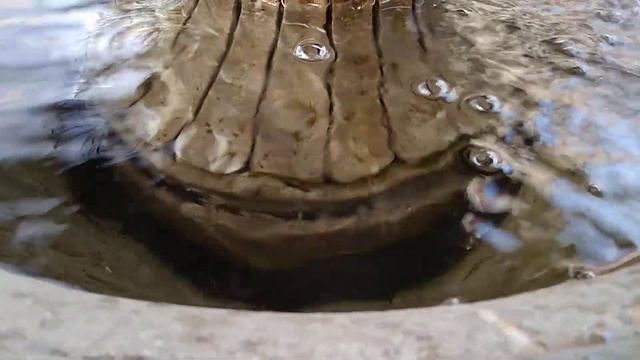 Прогулка вокруг храма Петра и Павла! Фонари Фонтан с с? смотреть онлайн