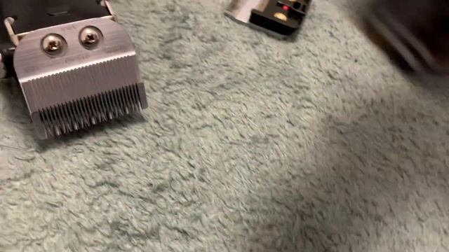 Wahl или Moser? А может Andis и Oster?
