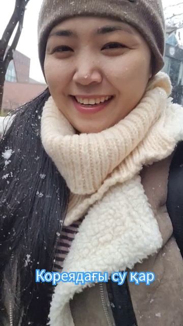 Зима в южной Корее #жизньвкорее смотреть онлайн