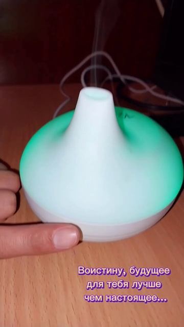 ЗАКАЗ БЕРСЕНИЗДЕР БОЛОТ ,ДОСТАВКА БАР +9965092319ОО #аромад смотреть онлайн