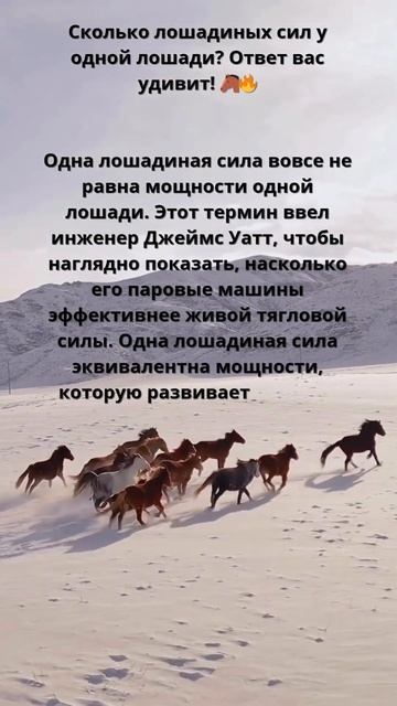 Сколько лошадиных сил у одной лошади? Ответ вас удивит смотреть онлайн