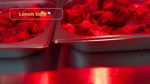 ЧТО Я ЕМ В ЕГИПТЕ/ЗАВТРАК/ОБЕД/УЖИН ОЛЕНКЛЮЗИВ смотреть онлайн