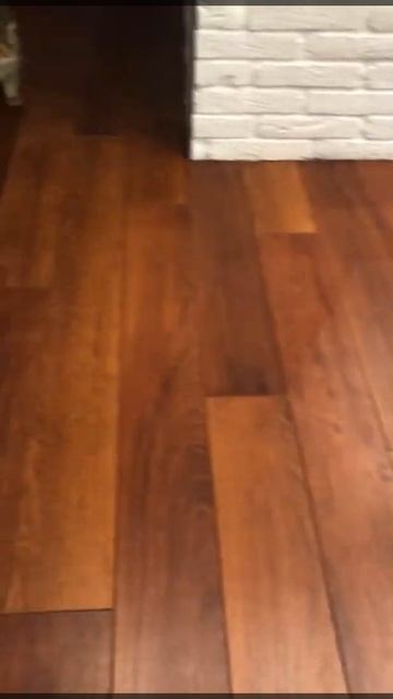 Реакция кота на робот пылесос Doni v13 смотреть онлайн