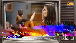 Животные звёзды кино т.к "Детский мир". Запись от 06.04.2025