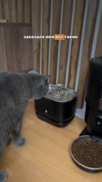 ✨ арт. OZON 1673018802 СКИДКА в описании смотреть онлайн