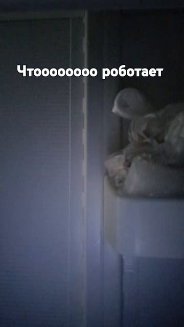 оно работает #холодильник #тикток#потпишись смотреть онлайн