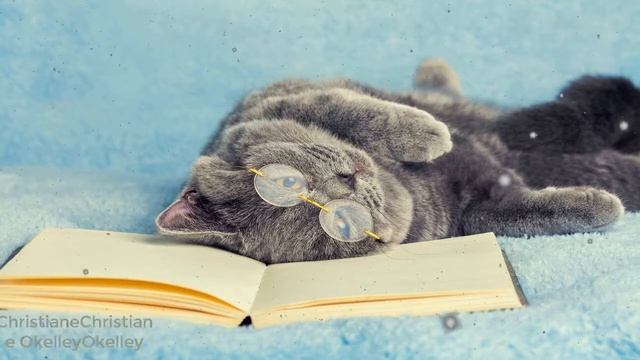 Музыка для Поднятия Настроения, для Работы и Учебы: Он? смотреть онлайн