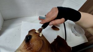 Как отремонтировать корпус часов (304)/Настенные часы