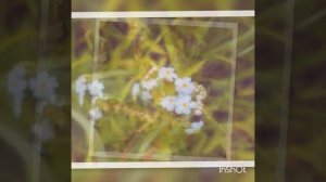 С первым днем весны!