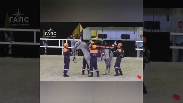 Смешные приколы из жизни смотреть онлайн