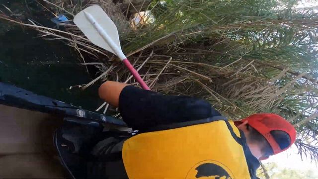 Летний лагерь воскресной школы РДМ РПЦЗ смотреть онлайн