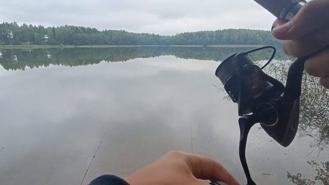 ЛОВЛЯ КАРАСЯ НА ЛЕСНОМ ОЗЕРЕ!!!Рыбалка в ТУМАНЕ!Ловля к смотреть онлайн