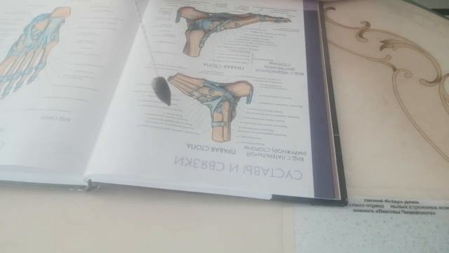 Болят икры ног и стопы. смотреть онлайн
