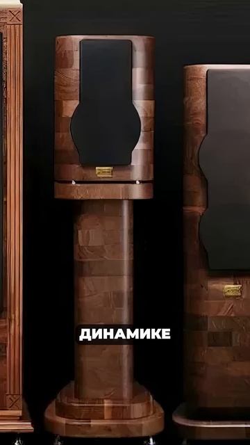 Помните об ЭТОМ, покупая колонки с ГРИЛЕМ! #акустика #к? смотреть онлайн