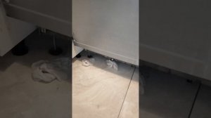 Ошибка i30 в посудомойке! (AEG, Bosch, Neff, Electrolux) Как починить?