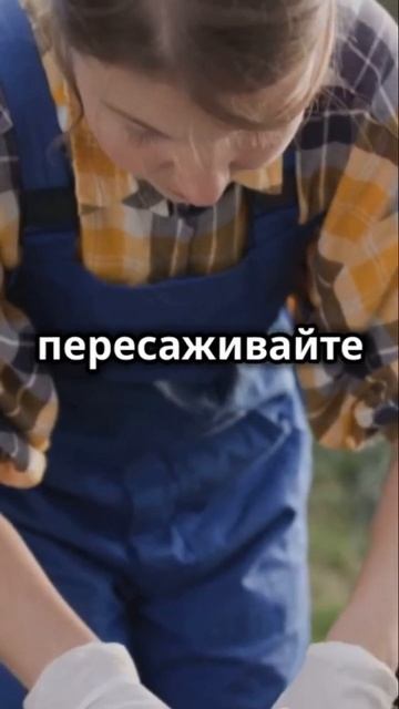 Кассеты для рассады от agro-film смотреть онлайн