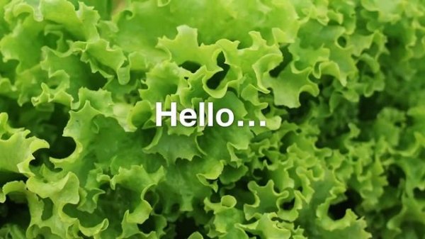 Холодильник HITACHI R WB720VUC0GBK, R WB720VUC0GMG, R WB720VUC0GBW, Vacuum Compartment