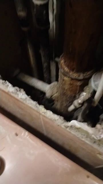 Пылесос, сантехник, унитаз) смотреть онлайн