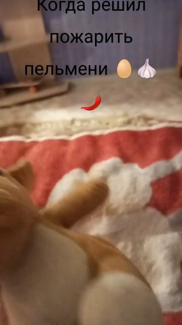 решил рассказать как готовить пельмени хорошие пельм? смотреть онлайн