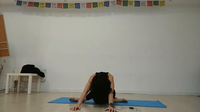 20241105 Вт 20-00. Хатха йога для начинающих. Москва м.Бауман? смотреть онлайн