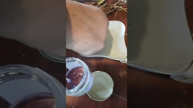 Настольная прививка винограда. Подробно, сам процесс ? смотреть онлайн