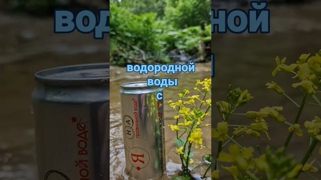 2 июня 2024 г .#вода #водородная #новости #продажа #отдых