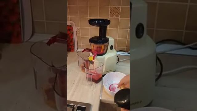 Соковыжималка шнековая MAUNFELD MF 931BG смотреть онлайн