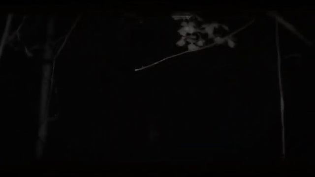 Нельзя засыпать все части. Автор: World begemot kot смотреть онлайн